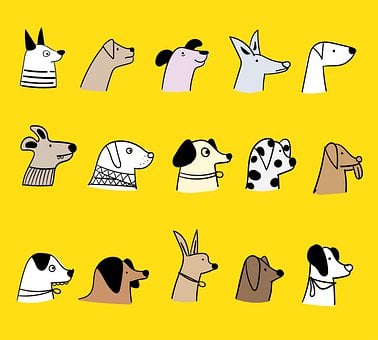 Le dessin de plusieurs races de chien. Comment faire son choix entre les différentes race de chien lorsqu'on a un enfant ? 