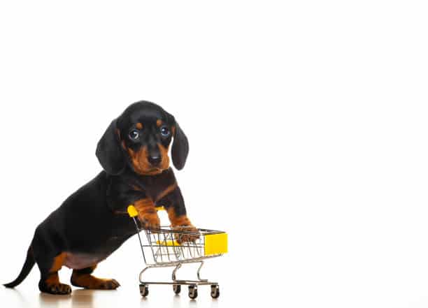Découvrez les produits pour chien, tels que la nourriture, les jouets, les soins de santé et de beauté. Choisissez des produits de qualité pour garantir le bien-être de votre animal de compagnie
