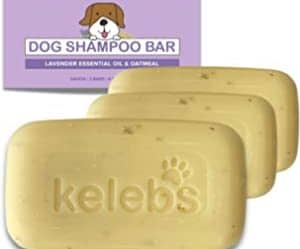 Shampoing solide pour chien - produit naturel