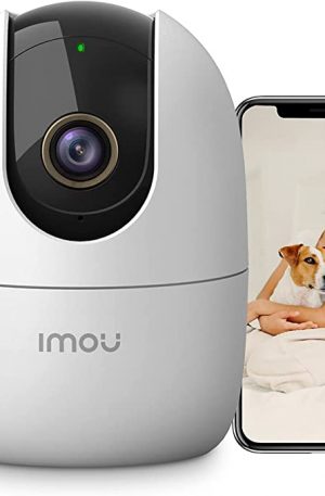 Caméra surveillance chien
