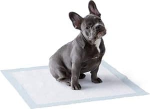 Achetez des Protections pour déjections canines anti-fuite douces et absorbantes - Paquet de 50 100 150