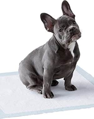 Achetez des Protections pour déjections canines anti-fuite douces et absorbantes - Paquet de 50 100 150
